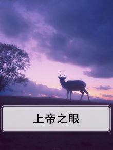 上帝之眼