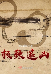 极致追凶