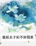 狐妖太子妃不好招惹