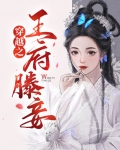 穿越之王府滕妾