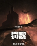 罚魏