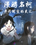 漫游名柯:平行时空的交汇