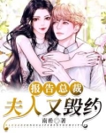 报告总裁,夫人又毁约