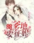 天才萌宝,爹地要征婚