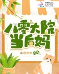 八零大院当后妈