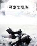 寻龙之陨落