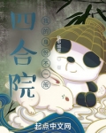 四合院:我的身份不一般