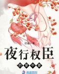 夜行权臣的掌中妻