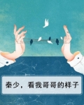 秦少,看我哥哥的样子
