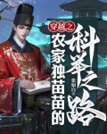 穿越之农家独苗苗的科举之路